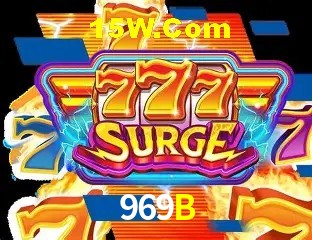 Login Seguro 969B